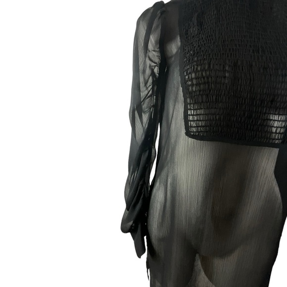 Zara Black Sheer Smocked High Neck Smocked Front Panel Ruched Sleeve Dress - Picture 6 of 14